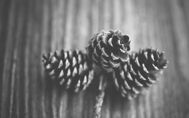 Photo by Xavier Wolf on Unsplash — representative image for An Evening of Agave: Tequila Pairing Dinner at Sullivan’s Steakhouse