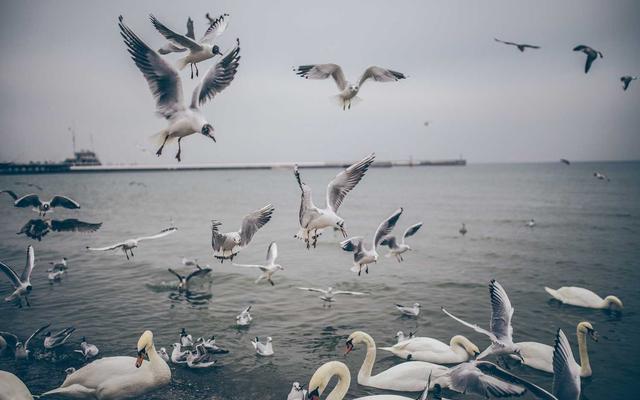 Photo by Sebastian Doll on Unsplash — representative image for Kyoto Japanese Steak House