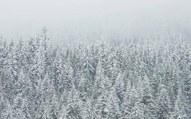 Photo by Kittitep Khotchalee on Unsplash — representative image for Siam Pad Thai