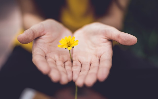 Photo by Getty Images on Unsplash — representative image for Flower Hour Preschool Story Time🌻🌷