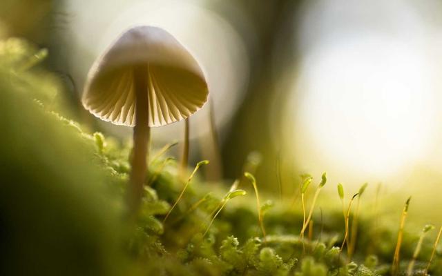 Photo by Declan Sun on Unsplash — representative image for Boulder Creek Grill