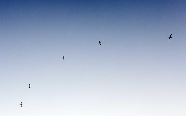 Photo by Picsum on Unsplash — representative image for Coalinga - Avenal Rest Area