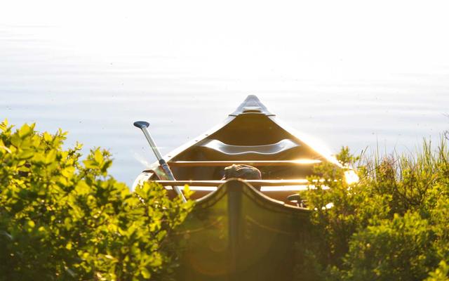 Photo by Picsum on Unsplash — representative image for Pho Phi Restaurant