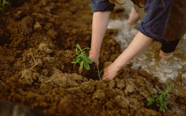 Photo by Ana Jovanovski on Unsplash — representative image for Knit for a Cause