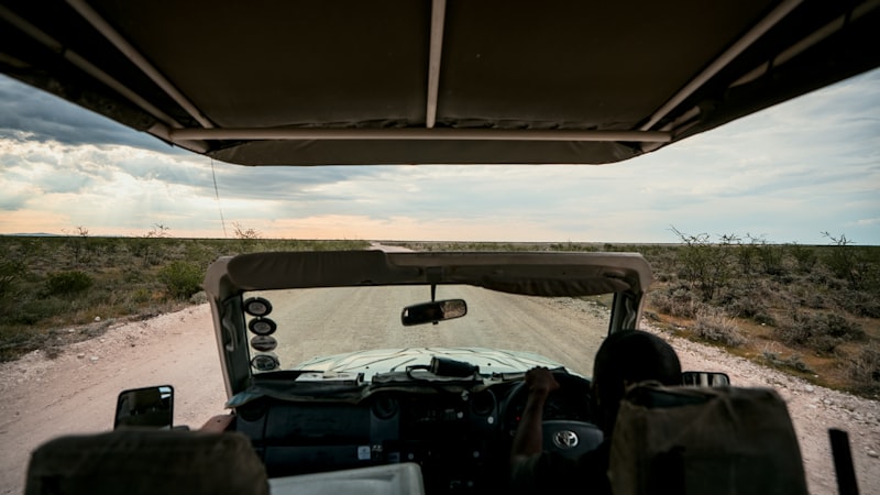 Photo by NIR HIMI on Unsplash — representative image for Wildlife Heroes Spring Break Camp