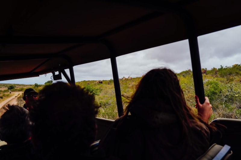 Photo by Adrien Olichon on Unsplash — representative image for Feed a Moose at the Alaska Wildlife Conservation Center