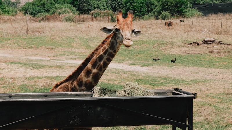 Photo by Tanya Barrow on Unsplash — representative image for First Responder Appreciation Day