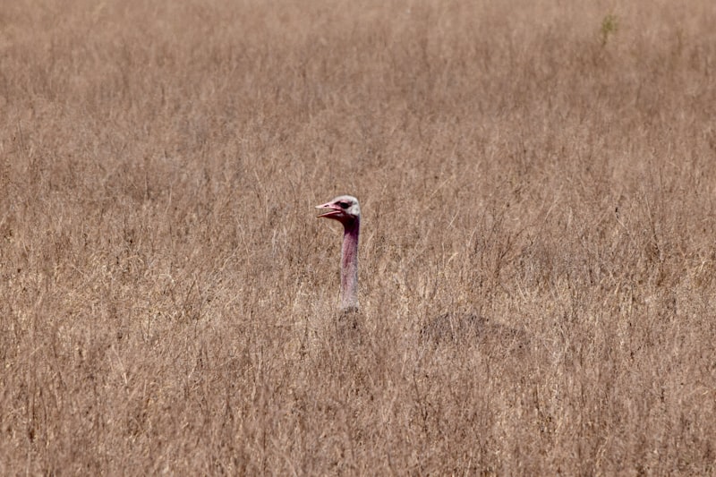 Photo by Haydn on Unsplash — representative image for The Station