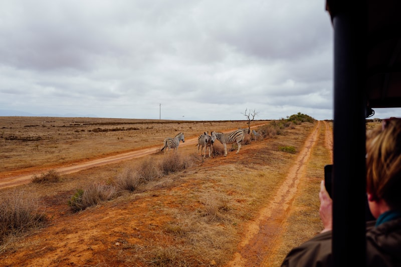 Photo by Yue WU on Unsplash — representative image for Wildlife in Ink
