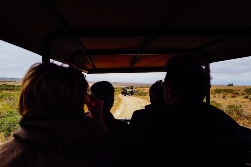 Photo by Adrien Olichon on Unsplash — representative image for Feed a Brown Bear at AWCC