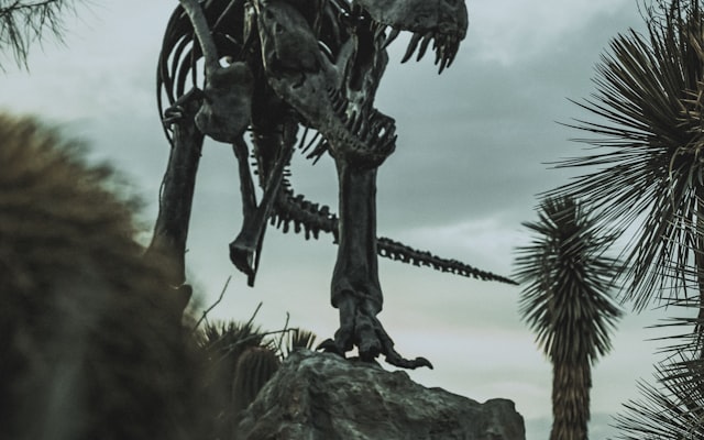 Dinosaur skeleton on rock