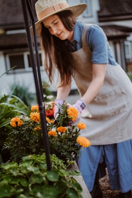 gardening image