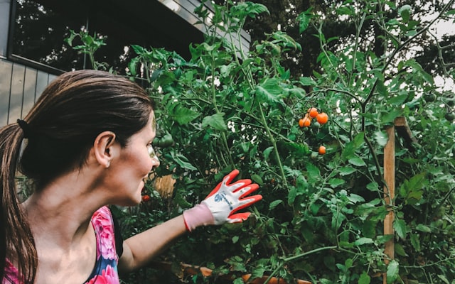 Woman holding red fruit