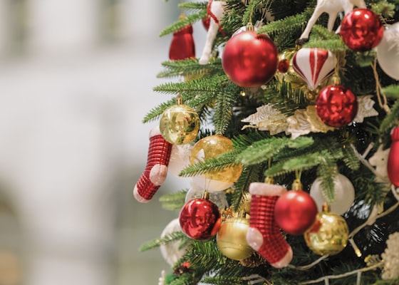 holiday seasonal image