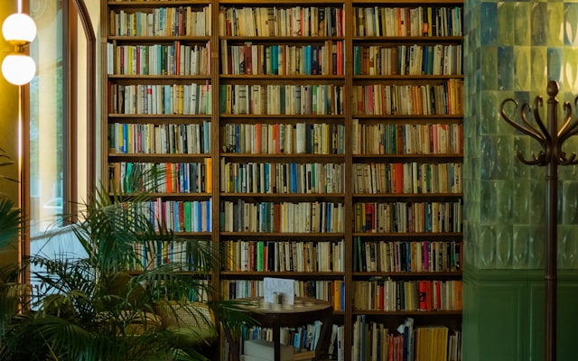 Tall bookshelves in a cozy room