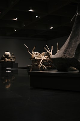 museum exhibit image