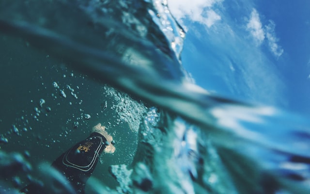 Couple viewing art in gallery