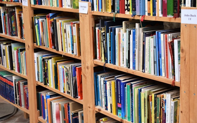 Museum hallway with paintings