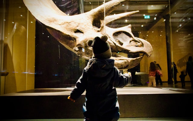 museum exhibit image