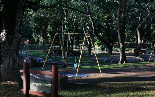 Park with open lawn