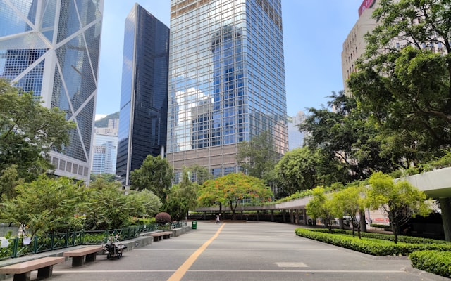 Park with trees and blue sky