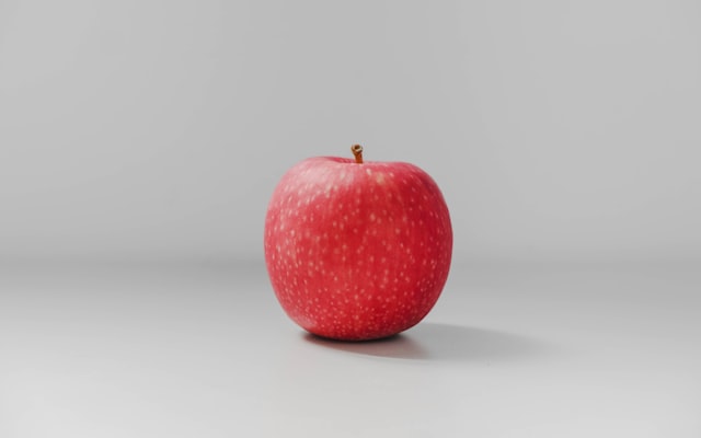 Trampoline park action